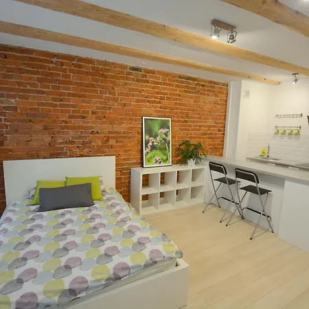 Unique Studio At The Old Town Apartment Wroclaw